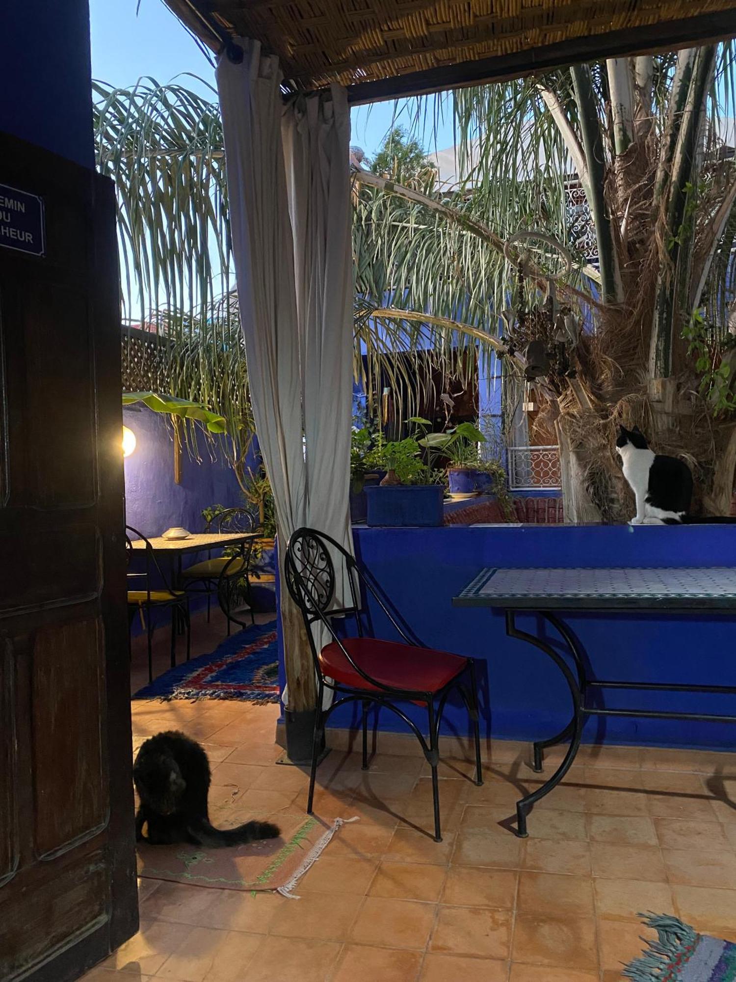 Riad Alamine Marrakesh Eksteriør bilde