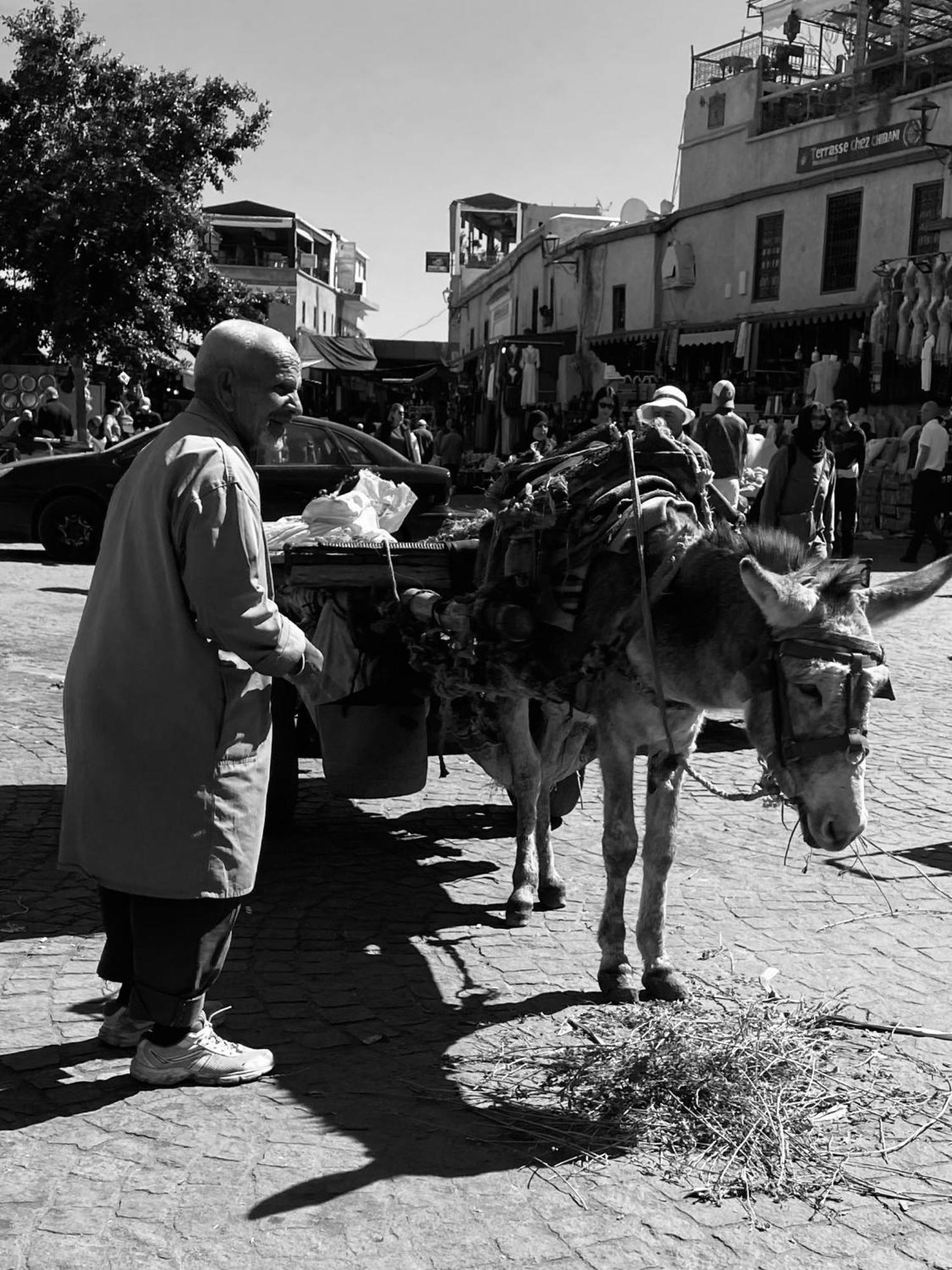 Riad Alamine Marrakesh Eksteriør bilde